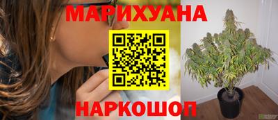 дмт Шелехов