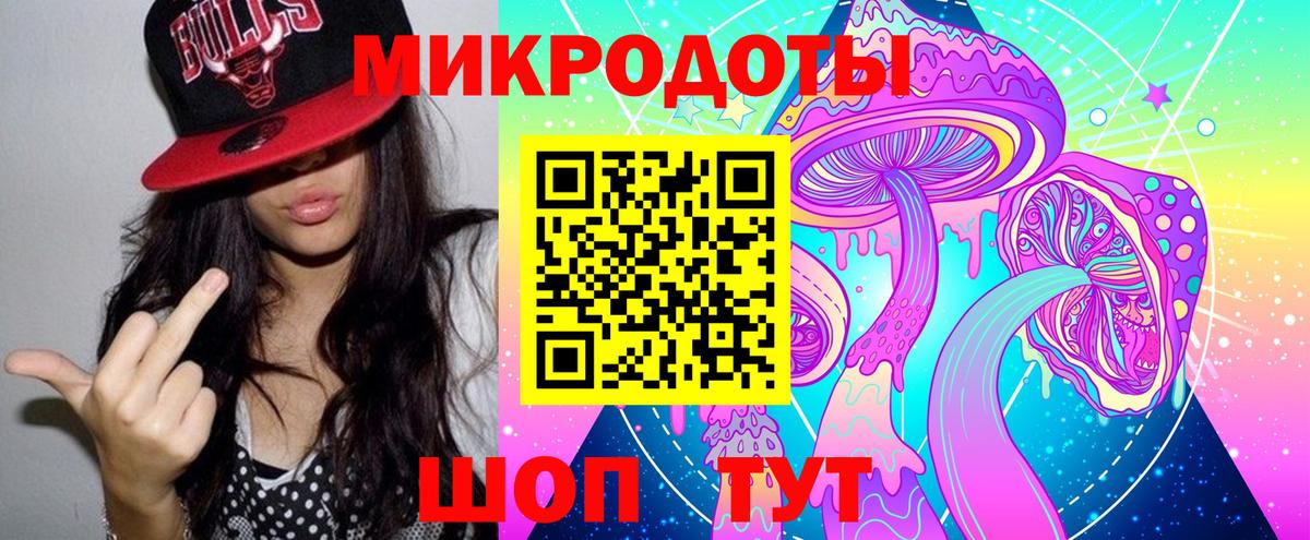 Галлюциногенные грибы Psilocybine cubensis Чехов