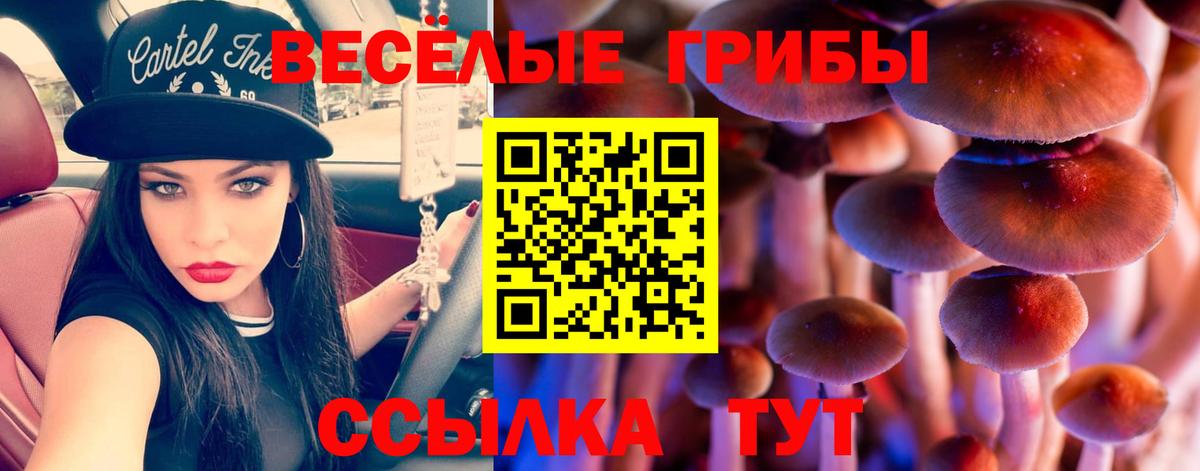 Чехов  Галлюциногенные грибы прущие грибы  Галлюциногенные грибы MAGIC MUSHROOMS  Вход с VPN 